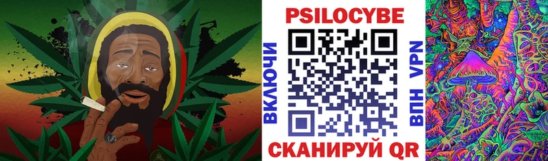 Галлюциногенные грибы MAGIC MUSHROOMS  Купить закладки  Муравленко 